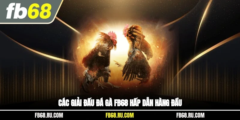 Các giải đấu đá gà FB68 hấp dẫn hàng đầu