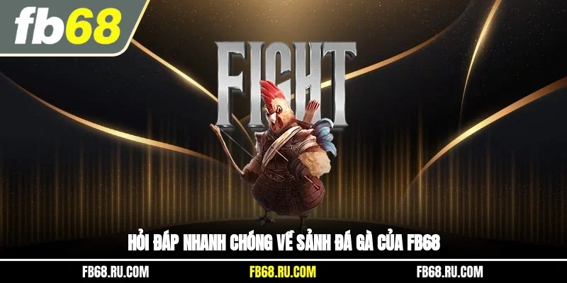 Hỏi đáp nhanh chóng về sảnh đá gà của FB68